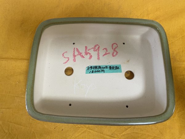 Photo2: No.SA5928 Koyo (2)