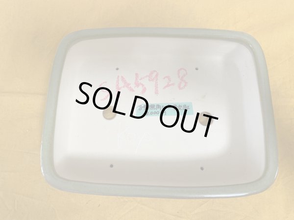 Photo2: No.SA5928 Koyo (2)