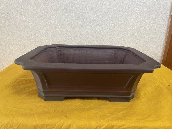 Photo1: No.SA5929 Bigei (1)