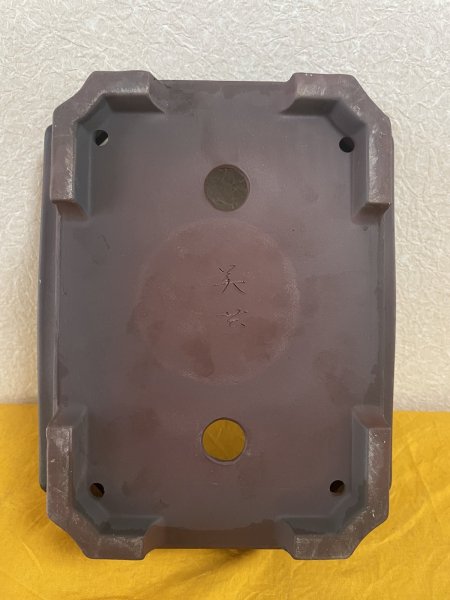 Photo3: No.SA5929 Bigei (3)