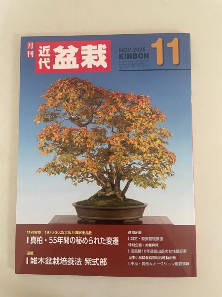 Photo1: No.Kinbon Sea  Kinbon subscription by sea Annual subscription ( 12 copies ) Postage by sea (1)