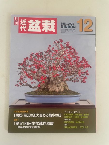 Photo1: No.Kinbon Air  Kinbon subscription by airmail Annual subscription (12 copies) Postage by airmail (1)