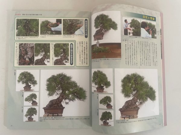 Photo2: No.Kinbon Air  Kinbon subscription by airmail Annual subscription (12 copies) Postage by airmail (2)