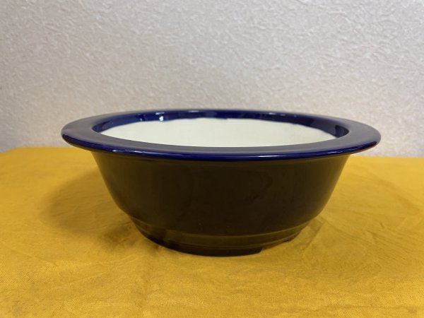 Photo2: No.SA51101 Koyo (2)