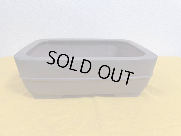 Photo2: No.SA51103 Bigei (2)