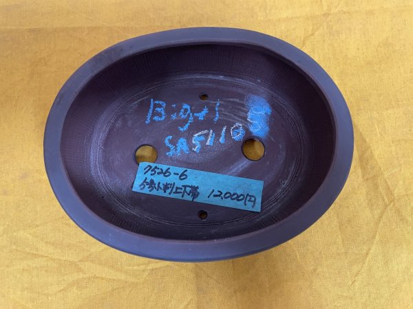 Photo1: No.SA51105 Bigei (1)