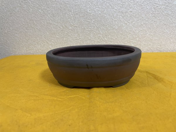 Photo2: No.SA51105 Bigei (2)