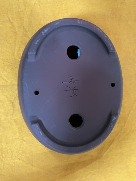 Photo3: No.SA51105 Bigei (3)