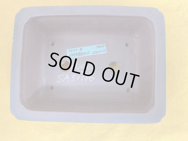 Photo1: No.SA51106 Bigei (1)