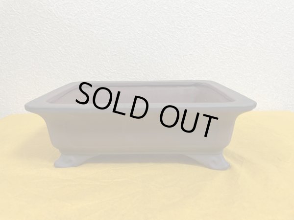 Photo2: No.SA51106 Bigei (2)