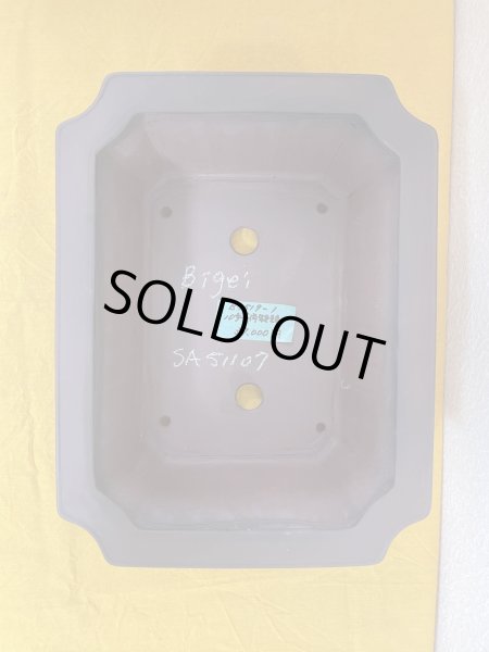 Photo1: No.SA51107 Bigei (1)