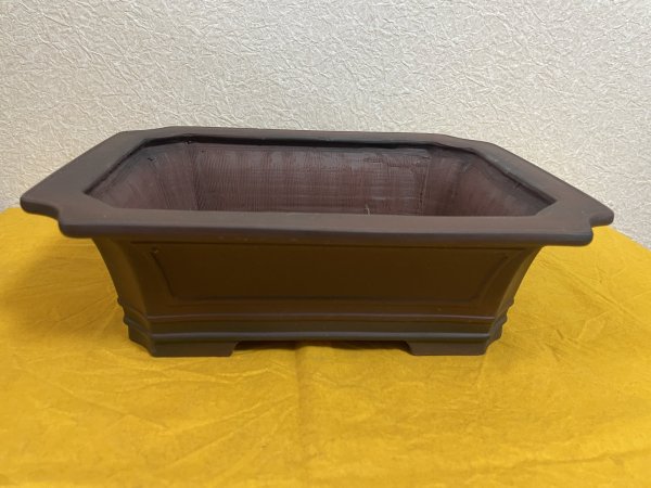 Photo2: No.SA51107 Bigei (2)