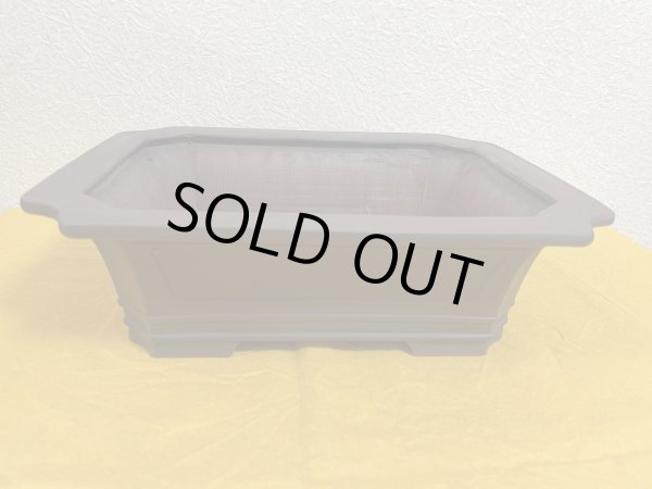 Photo2: No.SA51107 Bigei (2)