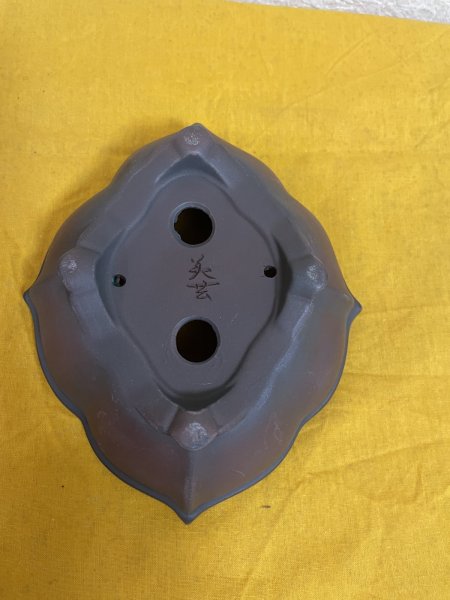 Photo3: No.SA51109 Bigei (3)