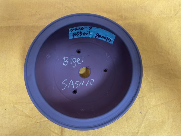 Photo1: No.SA51110 Bigei (1)