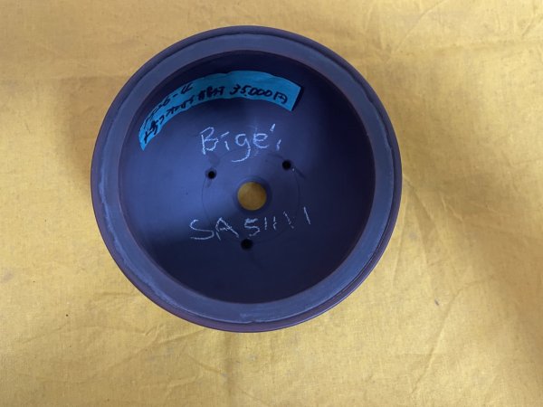 Photo1: No.SA51111 Bigei (1)