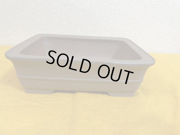 Photo2: No.SA51114 Reiho (2)