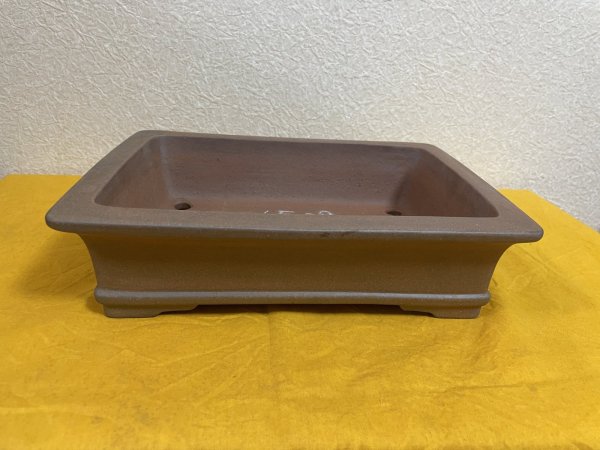 Photo2: No.SA51115 Reiho (2)