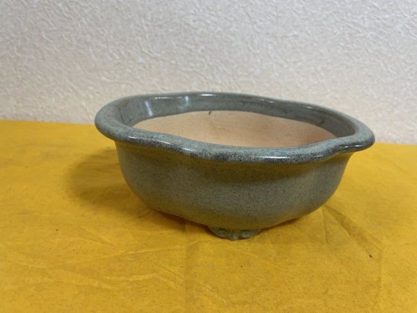 Photo2: No.SA51117 Reiho (2)