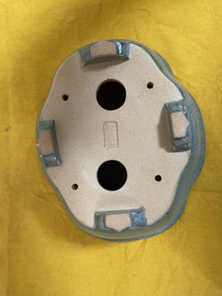 Photo3: No.SA51117 Reiho (3)