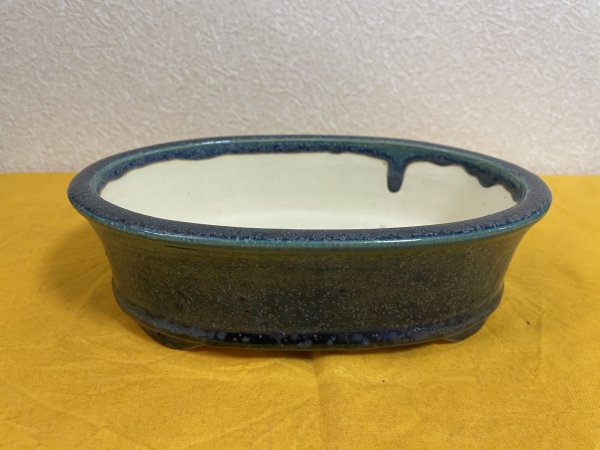 Photo2: No.SA51119 Koyo (2)