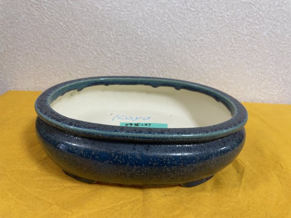 Photo2: No.SA51120 Koyo (2)