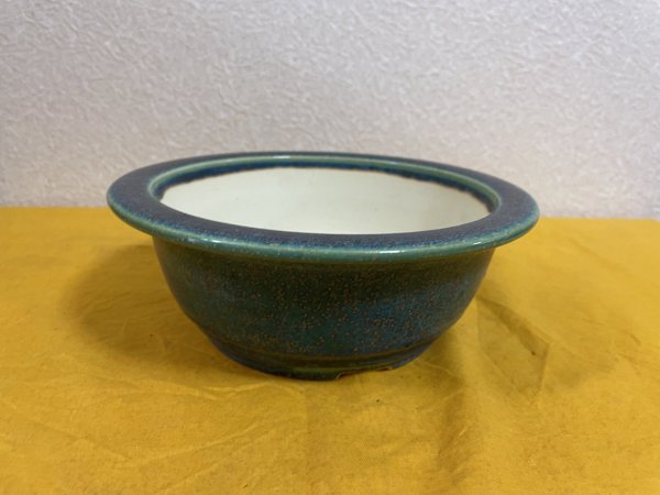 Photo2: No.SA51121 Koyo (2)