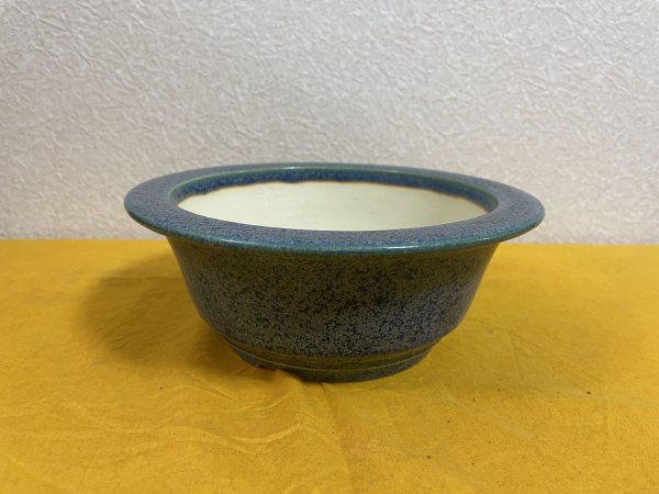 Photo2: No.SA51124 Koyo (2)