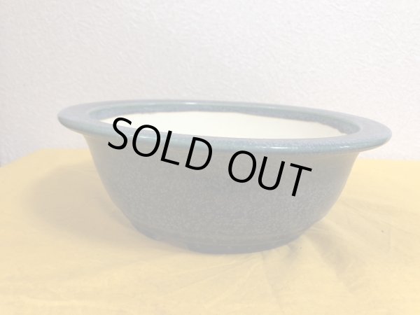 Photo2: No.SA51126 Koyo (2)