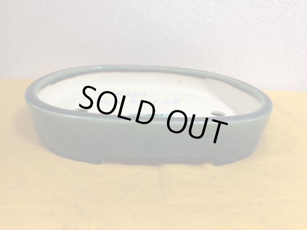 Photo2: No.SA51128 Koyo (2)