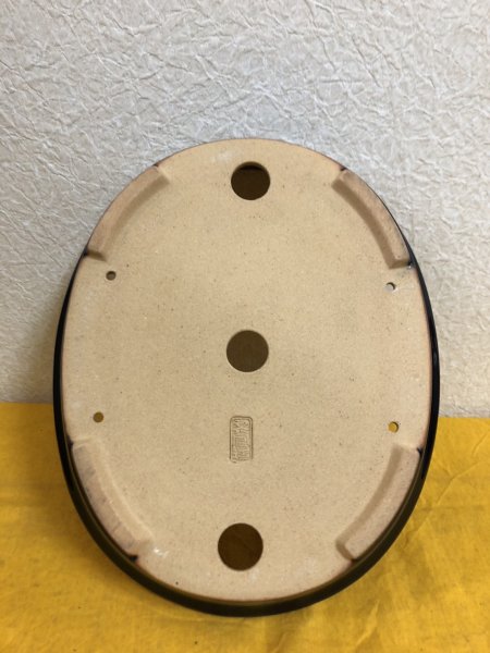 Photo3: No.SA51130 Reiho (3)