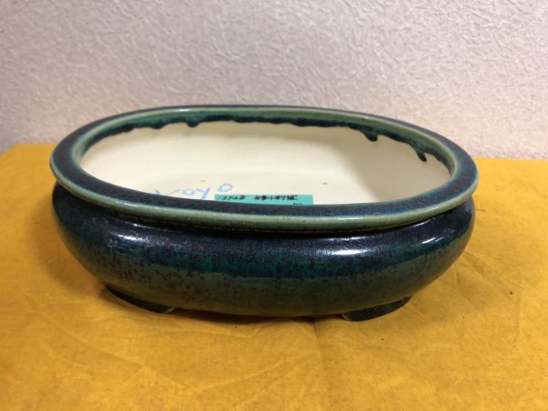 Photo2: No.SA51140 Koyo (2)