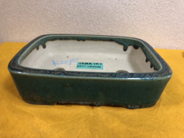 Photo2: No.SA51141 Koyo (2)