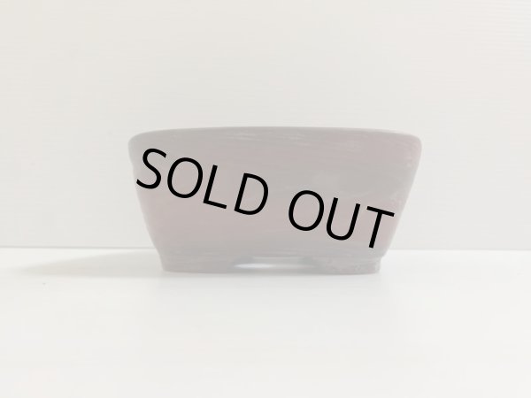 Photo2: No.DA4726 bigei (2)