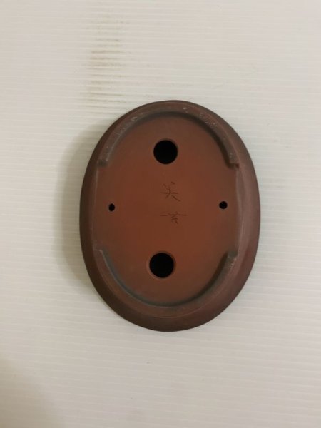 Photo5: No.DA4728 bigei (5)