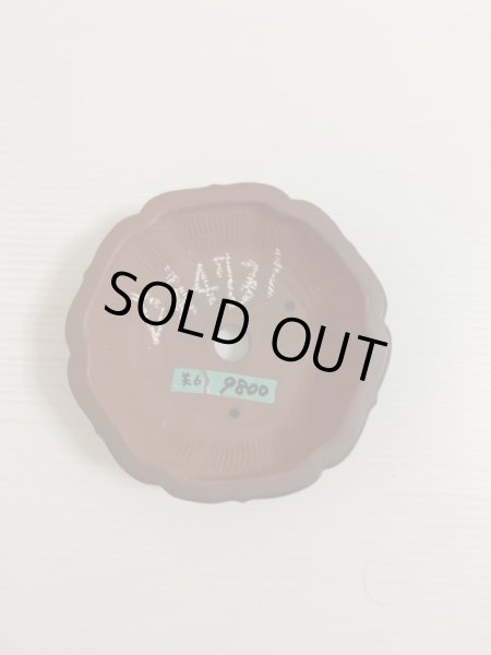 Photo3: No.DA4731 bigei (3)