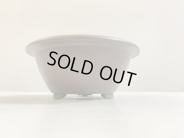 Photo2: No.DA4742 bigei (2)