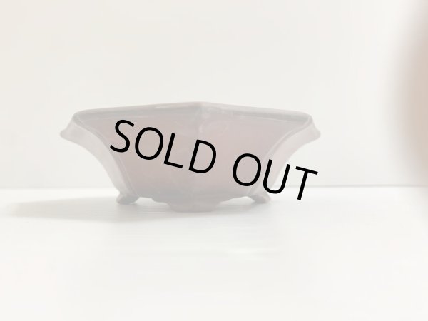 Photo2: No.DA4746 bigei (2)