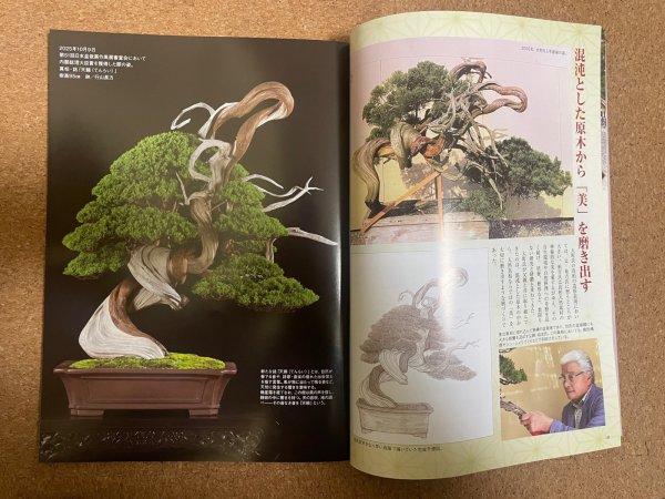 Photo1: No.Kinbon Sea  Kinbon subscription by sea Annual subscription ( 12 copies ) Postage by sea (1)