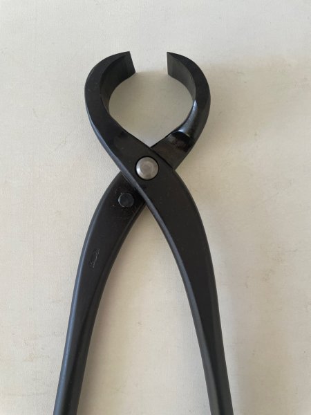 Photo5: No.DA4750 bigei (5)