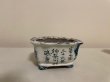 Photo1: No.TB0104  Bonsai pot,  Tosui (1)