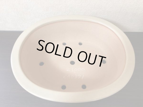 Photo3: No.EA0371  Reiho (3)