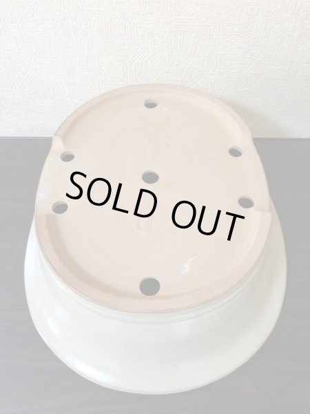 Photo4: No.EA0371  Reiho (4)