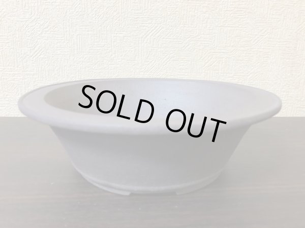 Photo2: No.EA0404  Koyo (2)