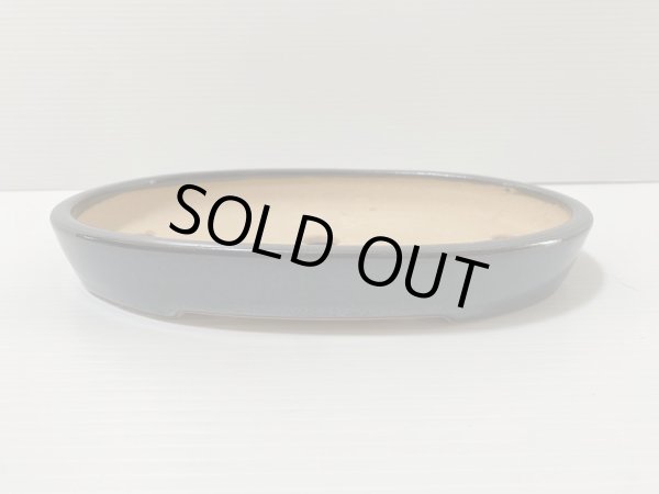 Photo3: No.DA4857 Reiho (3)