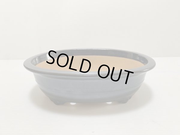 Photo3: No.DA4862 Reiho (3)