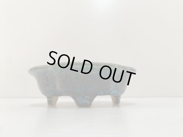 Photo2: No.DA4863 koyo (2)