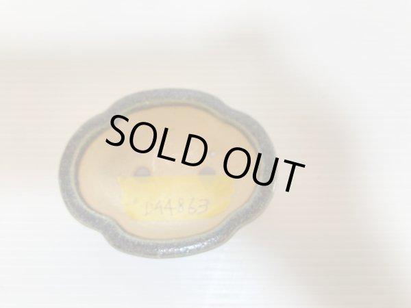 Photo4: No.DA4863 koyo (4)