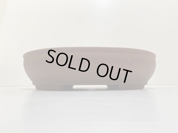 Photo2: No.DA4865 izumiya (2)