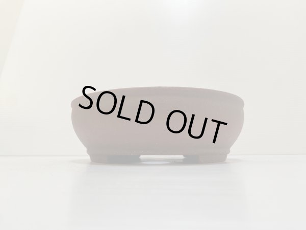 Photo3: No.DA4865 izumiya (3)